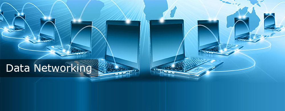 Data Networking